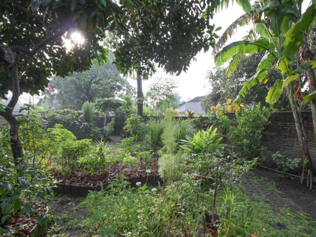 יוגיאקרטה Bhumi Hostel מראה חיצוני תמונה